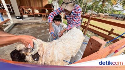 menikmati-pedesaan-swiss-di-ijen-farm-house-banyuwangi-saat-libur-nataru