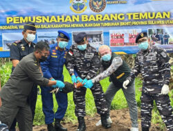 Putus Risiko Flu Burung, Barantin Musnahkan Ratusan Ekor Ayam Ilegal dari Filipina – TIMES Banyuwangi