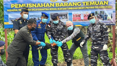 putus-risiko-flu-burung,-barantin-musnahkan-ratusan-ekor-ayam-ilegal-dari-filipina-–-times-banyuwangi