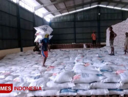 Jaga Mutu Beras dan Cegah Kutu, Bulog Manfaatkan Teknologi Baru BRIN – TIMES Banyuwangi