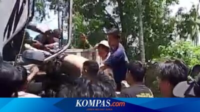 diduga-odgj,-pria-di-banyuwangi-bawa-kabur-truk-batu-dan-nyaris-diamuk-massa