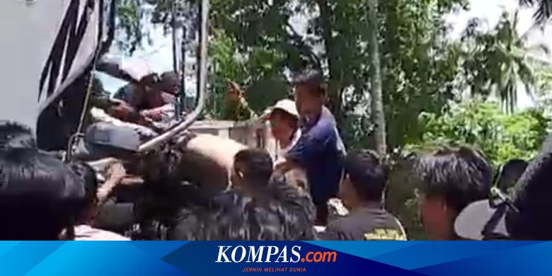 diduga-odgj,-pria-di-banyuwangi-bawa-kabur-truk-batu-dan-nyaris-diamuk-massa