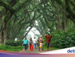 Gunung Ijen hingga Djawatan Bakal Jadi Lokasi Syuting Film Nasional