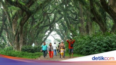 gunung-ijen-hingga-djawatan-bakal-jadi-lokasi-syuting-film-nasional