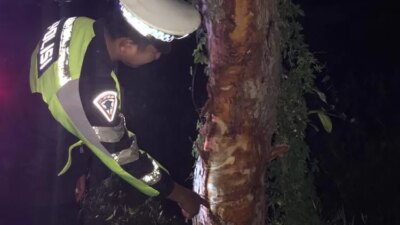 diduga-sopir-mengantuk,-pikap-l300-terjun-ke-sawah-di-jalan-raya-pakistaji-kabat