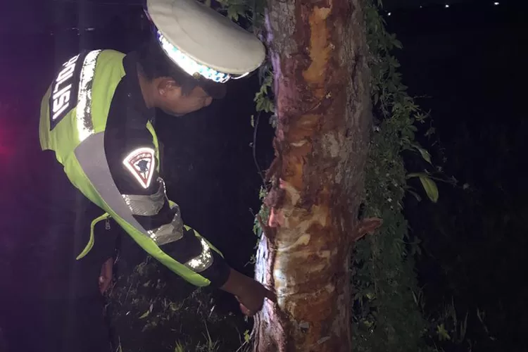 diduga-sopir-mengantuk,-pikap-l300-terjun-ke-sawah-di-jalan-raya-pakistaji-kabat