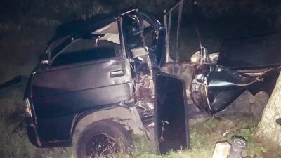 diduga-mengantuk,-pikap-l-300-tabrak-pohon-lalu-terjun-ke-sawah-di-kabat-banyuwangi