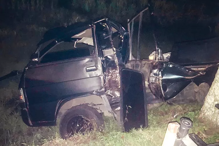 diduga-mengantuk,-pikap-l-300-tabrak-pohon-lalu-terjun-ke-sawah-di-kabat-banyuwangi