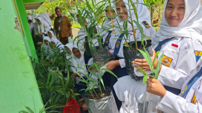 sulap-lahan-tidur-jadi-apotek-hidup,-smpn-2-tegalombo-pacitan-garap-taman-toga-–-times-banyuwangi
