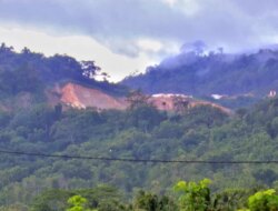 Warga Ringinagung Tolak Tambang PT BSI, Gunung Kucur dan Gunung Gede Dinilai Tameng Alami Tsunami