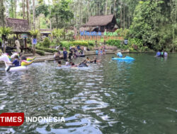 290 Ribu Wisatawan Padati Banyuwangi Selama Libur Nataru – TIMES Banyuwangi