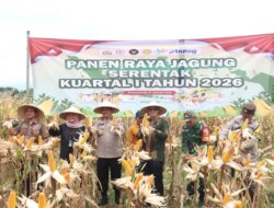 Polresta Banyuwangi Gelar Panen Raya Jagung Kuartal I 2025, Hasilkan 126 Ton
