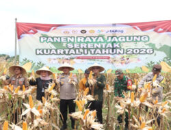 Polresta Banyuwangi Panen Raya 126 Ton Jagung – TIMES Banyuwangi