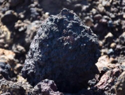 Arab Saudi Gelar Future Minerals Forum Kelima di Riyadh, Targetkan 20 Ribu Peserta Global – TIMES Banyuwangi