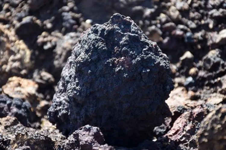 arab-saudi-gelar-future-minerals-forum-kelima-di-riyadh,-targetkan-20-ribu-peserta-global-–-times-banyuwangi