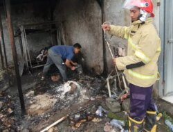 Diduga Api Pembakaran Sampah, Tumpukan Kardus Toko Kosmetik di Purwoharjo Terbakar