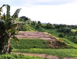 Tol Gilimanuk–Mengwi Terkatung-katung, Ribuan Lahan Warga Terblokir dan Terancam Ulang dari Nol
