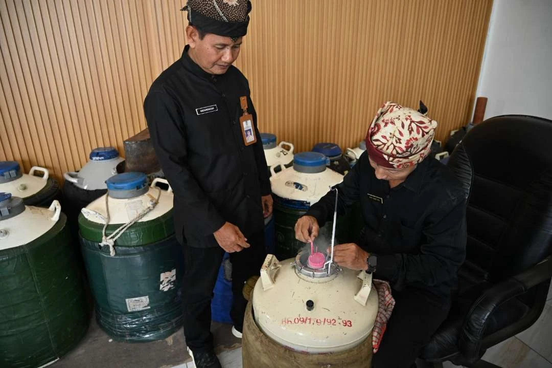 banyuwangi-miliki-bank-sperma-hewan-ternak,-sukses-tingkatkan-populasi-sapi