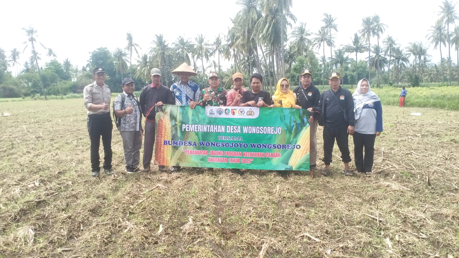 tancap-gas-ketahanan-pangan,-bumdes-wongsojoyo-wongsorejo-pilih-garap-pertanian-jagung