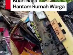 Video: Truk Angkut Buah Naga Hantam Rumah di Banyuwangi, 2 Orang Tewas