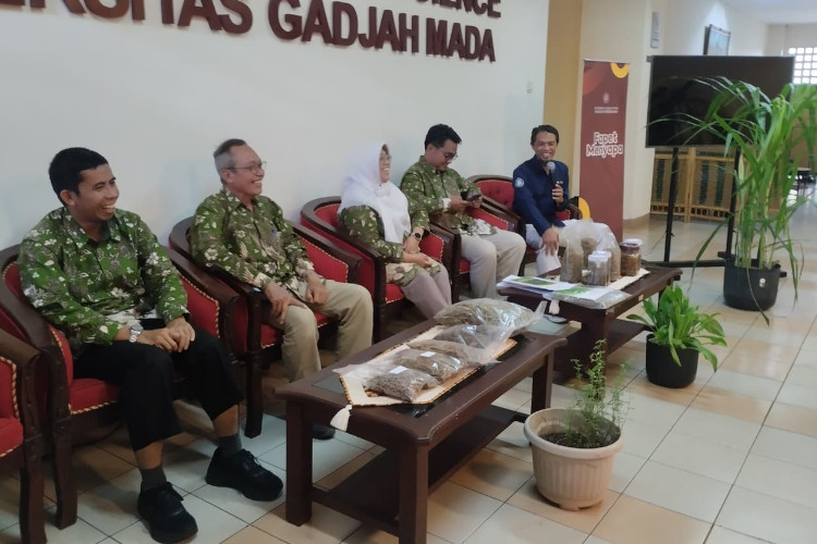 fapet-ugm-kembangkan-pakan-hijauan-bernutrisi-tinggi,-solusi-tekan-biaya-produksi-ternak-–-times-banyuwangi
