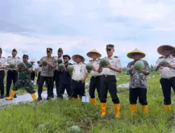 Lapas Banyuwangi Panen Semangka Cocok Tanam Warga Binaan, Hasil Didonasikan ke Korban Bencana
