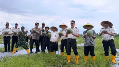 lapas-banyuwangi-panen-semangka-cocok-tanam-warga-binaan,-hasil-didonasikan-ke-korban-bencana