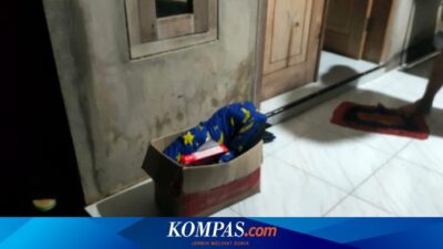 penemuan-bayi-di-kardus-mi-instan-di-banyuwangi,-pelaku-selipkan-surat-minta-jangan-diviralkan