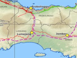Tol Jember–Lumajang Senilai Rp13,6 Triliun Masuk Skema KPBU, Konsesi 50 Tahun dan Digarap dengan Pola BOT