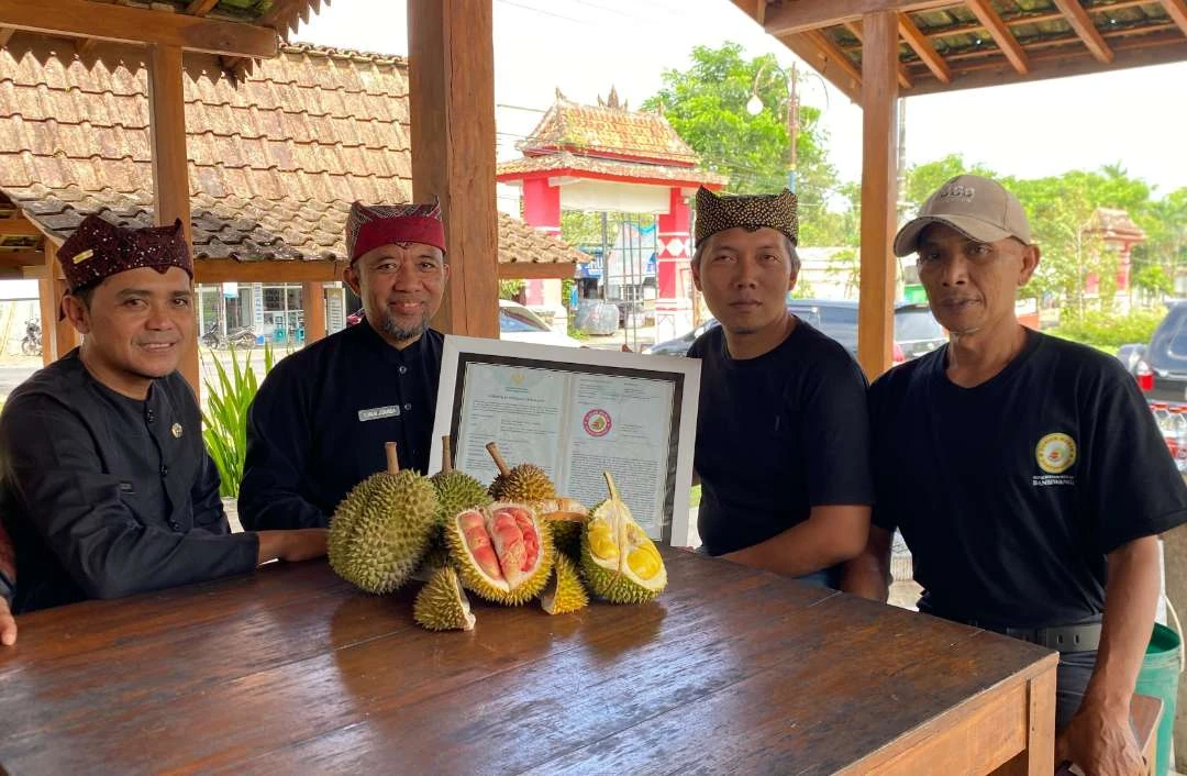 durian-merah-banyuwangi-resmi-menjadi-produk-indikasi-geografis