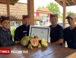 Durian Merah Banyuwangi Ditetapkan Sebagai Indikasi Geografis Pertama di Indonesia – TIMES Banyuwangi
