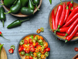 Makan Pedas Bisa Tingkatkan Metabolisme? Fakta dan Penjelasannya – TIMES Banyuwangi