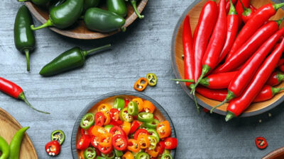 makan-pedas-bisa-tingkatkan-metabolisme?-fakta-dan-penjelasannya-–-times-banyuwangi