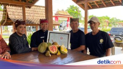 durian-merah-banyuwangi-resmi-dilindungi-negara