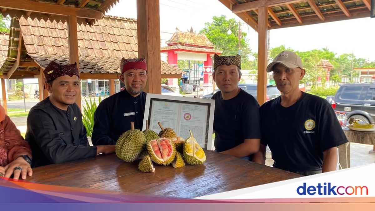 durian-merah-banyuwangi-resmi-dilindungi-negara