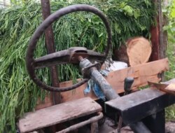 Belasan Kayu Jati Ilegal Ditemukan di Grajagan dan Tegaldlimo Banyuwangi, Polhut dan Polisi Amankan Barang Bukti