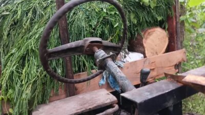 belasan-kayu-jati-ilegal-ditemukan-di-grajagan-dan-tegaldlimo-banyuwangi,-polhut-dan-polisi-amankan-barang-bukti