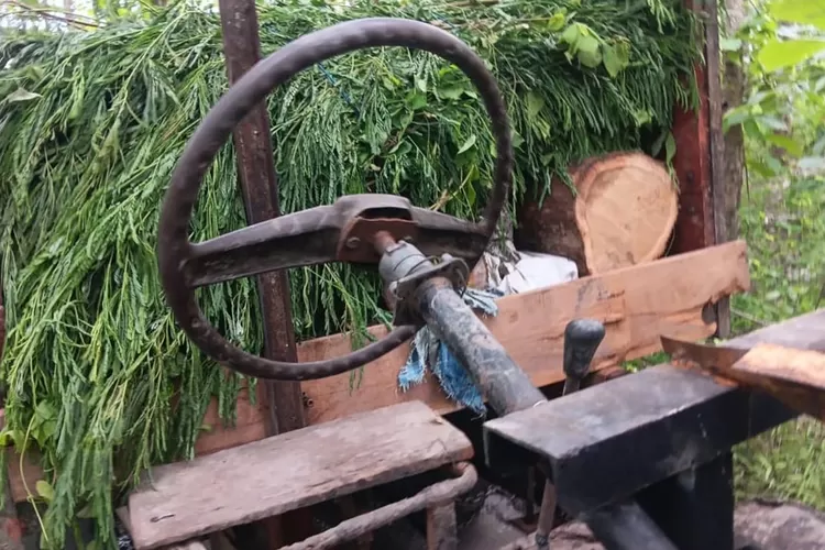 belasan-kayu-jati-ilegal-ditemukan-di-grajagan-dan-tegaldlimo-banyuwangi,-polhut-dan-polisi-amankan-barang-bukti