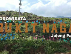 Bukit Naga Jolong, Agrowisata Unggulan Pati yang Menyimpan Jejak Kopi Kolonial – TIMES Banyuwangi