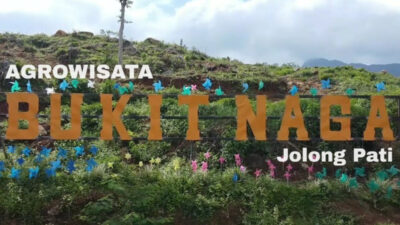 bukit-naga-jolong,-agrowisata-unggulan-pati-yang-menyimpan-jejak-kopi-kolonial-–-times-banyuwangi