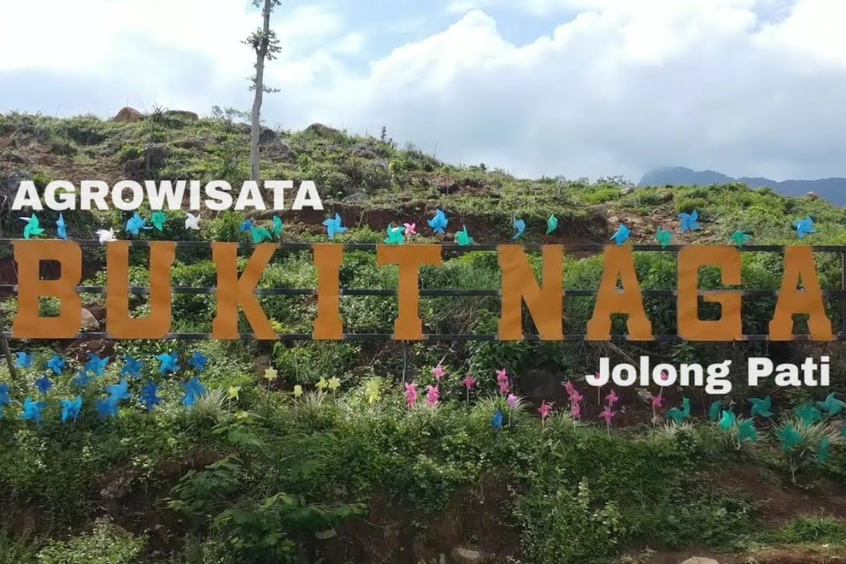 bukit-naga-jolong,-agrowisata-unggulan-pati-yang-menyimpan-jejak-kopi-kolonial-–-times-banyuwangi