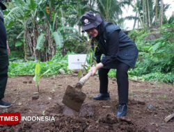Harlah ke-53, PDI Perjuangan Banyuwangi Bersama Bupati Ipuk Gelar Aksi Rawat Pertiwi – TIMES Banyuwangi