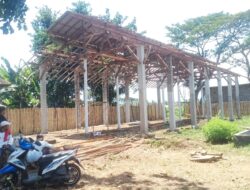 Usai Ambruk dan Tuai Polemik, Kandang Ayam Bimorejo Kini Dibangun Ulang Lebih Perkasa