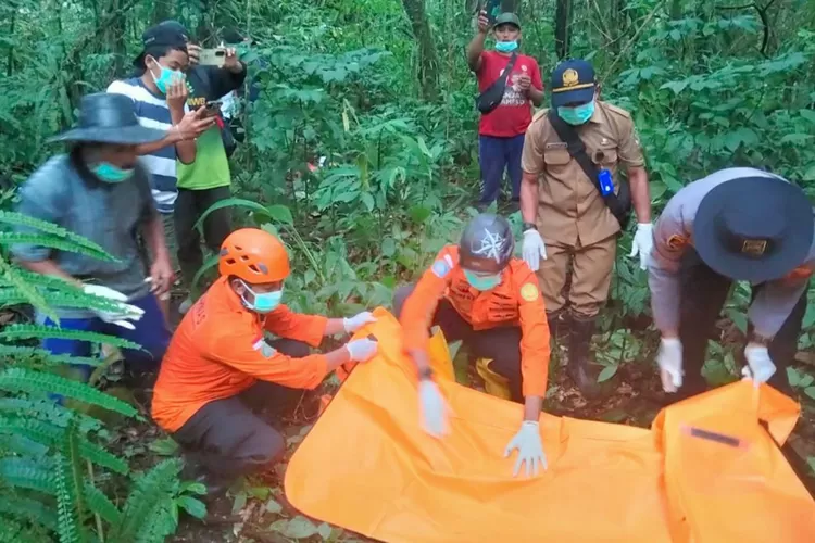 mayat-perempuan-tanpa-identitas-ditemukan-di-hutan-licin-banyuwangi,-diduga-meninggal-lebih-dari-sehari