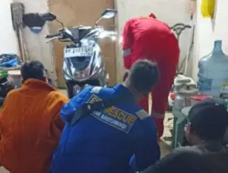 Petugas Damkar Evakuasi Ular Berbisa Masuk dalam Motor Warga