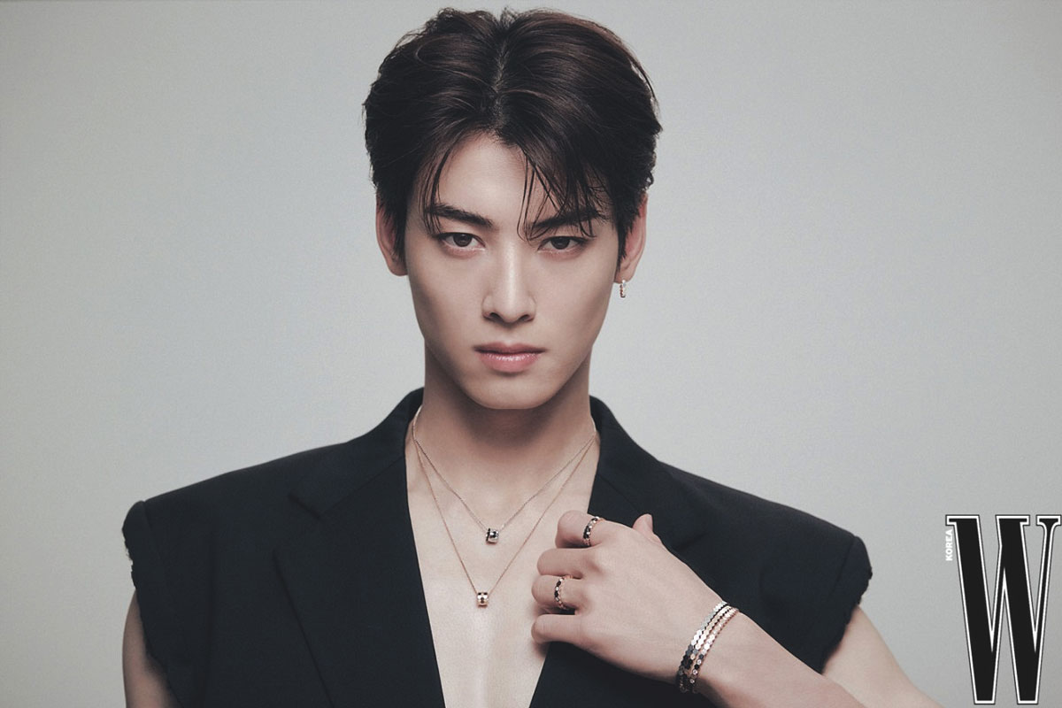 sedang-wamil,-cha-eun-woo-tanggapi-skandal-pajak-–-times-banyuwangi