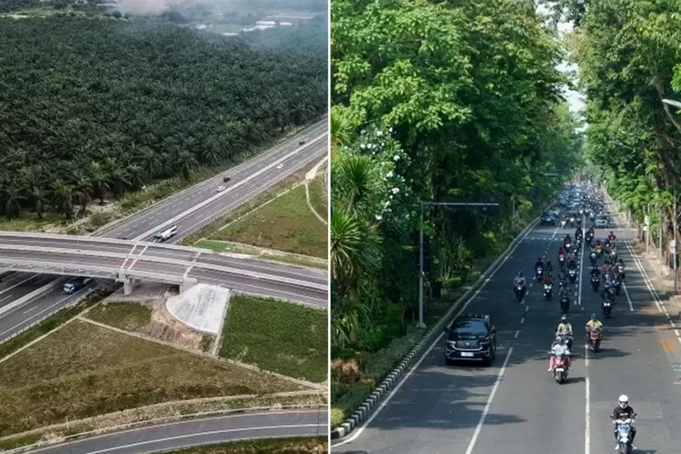 kenali-perbedaan-jalan-raya-dan-jalan-tol,-mulai-fungsi-hingga-aturan-penggunaannya
