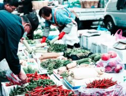 Tak Perlu Antre Pagi! Ini Cara Daftar Antrean KJP Pasar Jaya 2026 Lewat HP