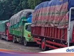 Penyeberangan Banyuwangi-Lembar Antre 5 Hari, Sopir Truk Protes ke DPRD