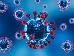 Virus Nipah, Penyakit Infeksi Emerging yang Menjadi Perhatian Global – TIMES Banyuwangi